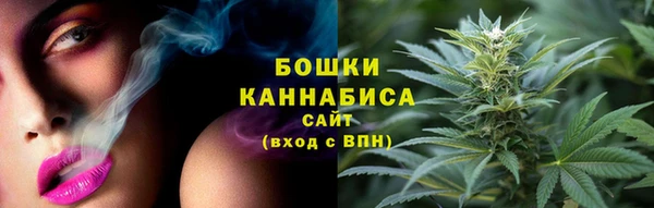 винт Елизово